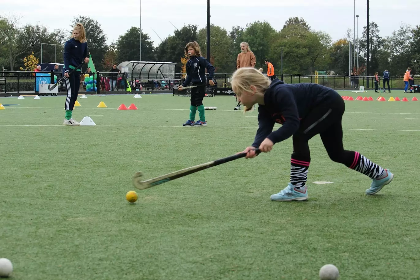 TOP-Hockey.nl trainingen